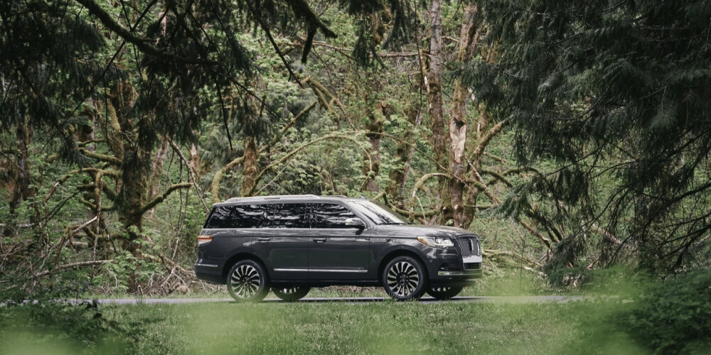 SUV parked in a lush green forest scene, surrounded by trees and foliage.